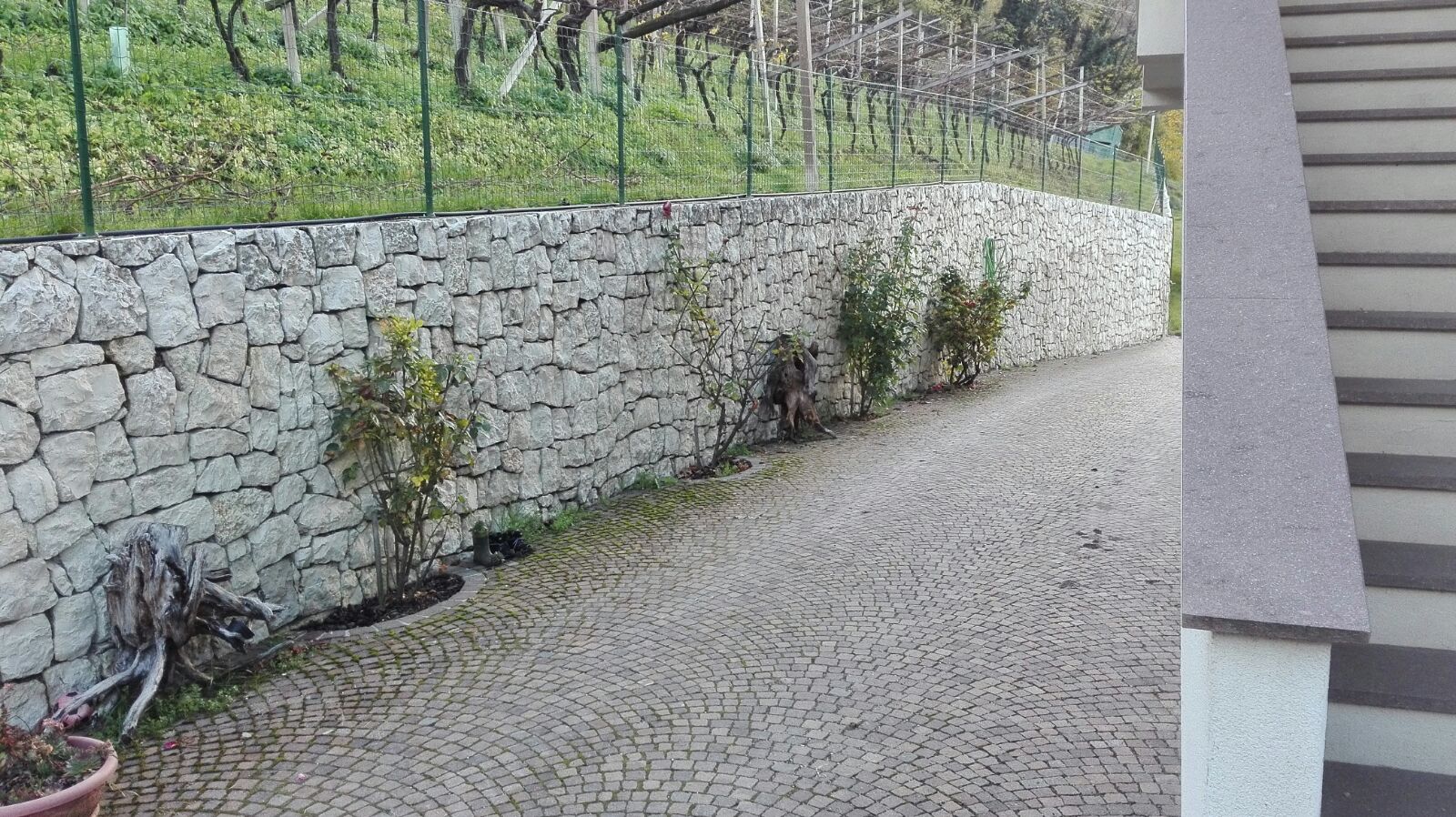 Precisione